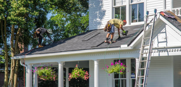 Best Roof Leak Repair  in Homeland, GA